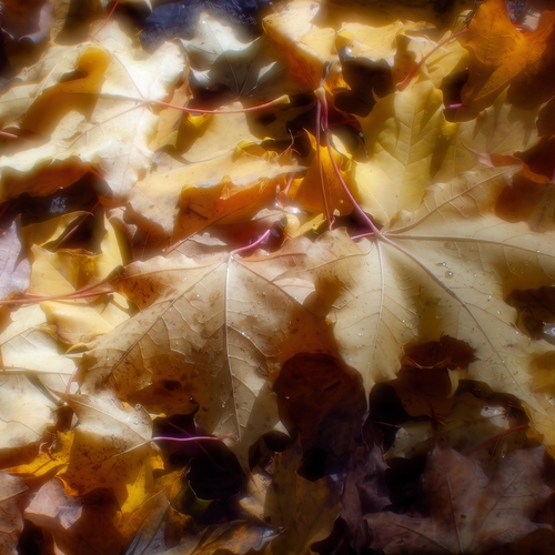 Photo #14090106