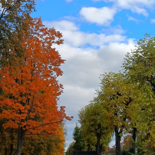 Photo #14090130