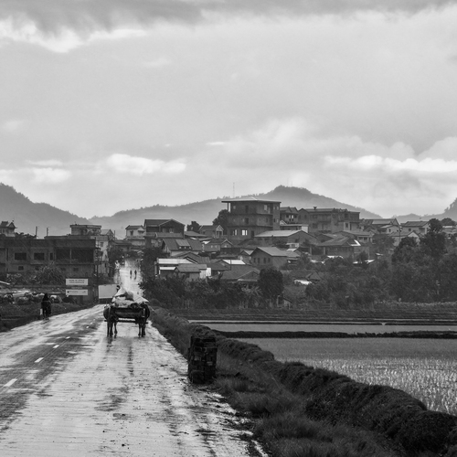 Photo #14090170