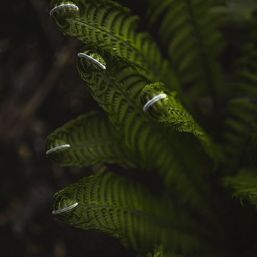 Photo #14090284