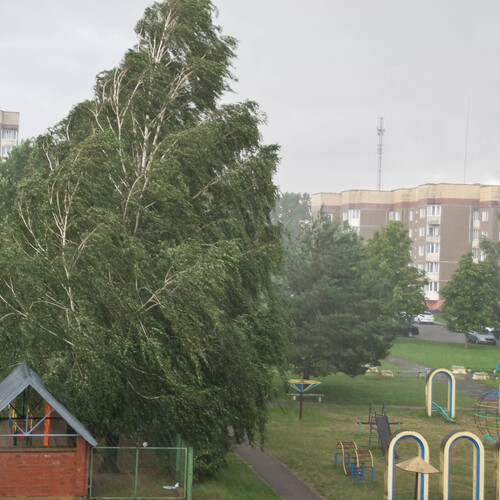 Photo #14090294