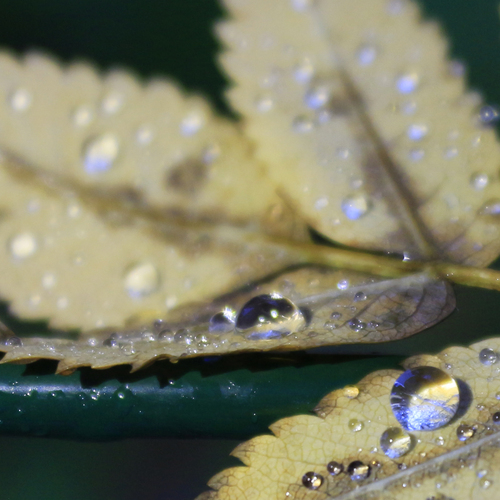 Photo #14090338