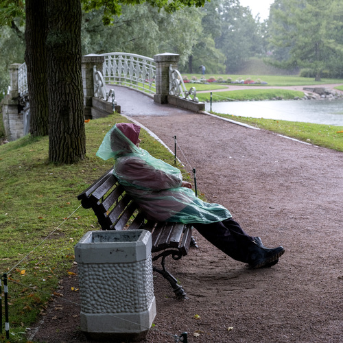 Photo #14090346