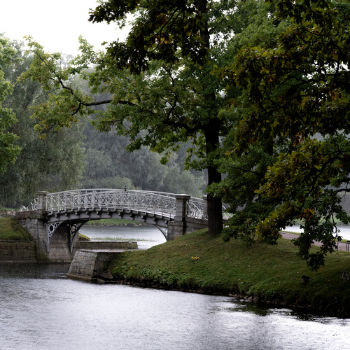 Photo #14090349