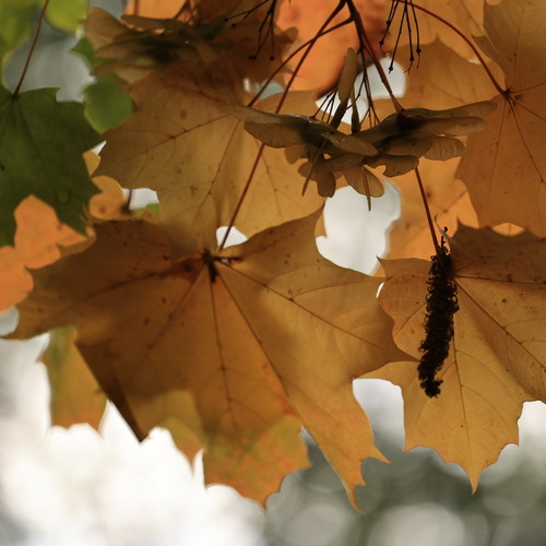 Photo #14090351