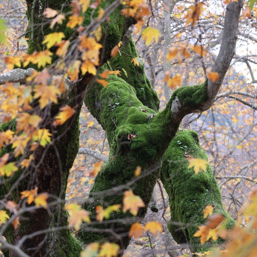 Photo #14090398
