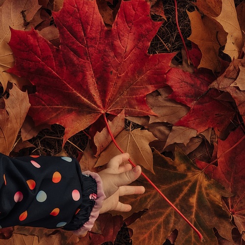 Photo #14090424