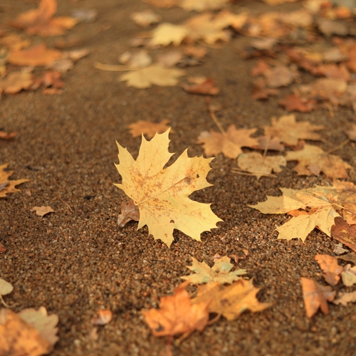 Photo #14090435