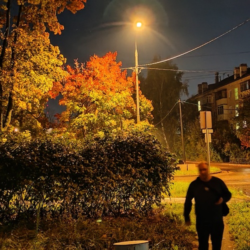 Photo #14090470