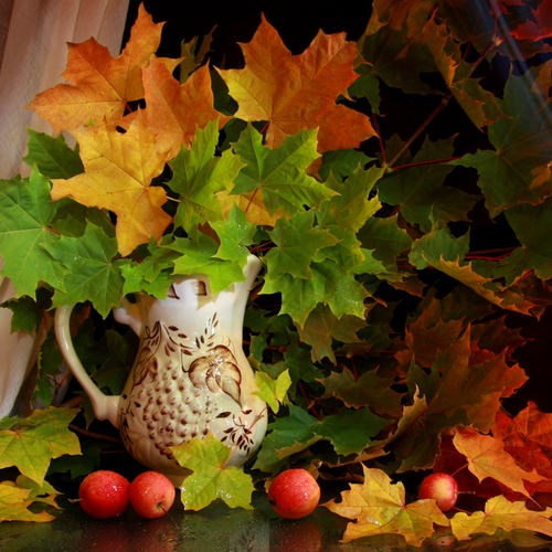 Photo #14090490