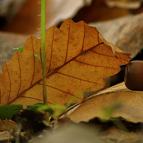 Photo #14090497