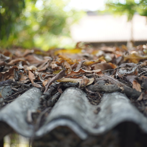 Photo #14090528