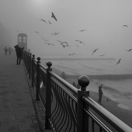 Photo #14090613