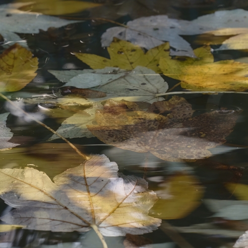 Photo #14090647