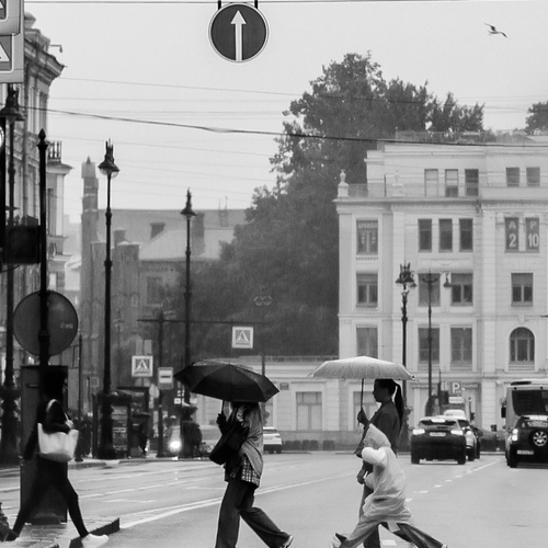 Photo #14090718