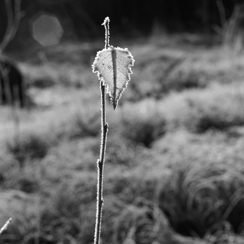 Photo #14090824