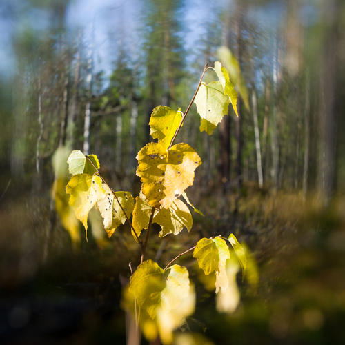 Photo #14090827