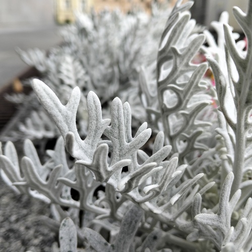 Photo #14090846