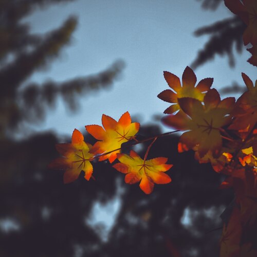 Photo #14090849