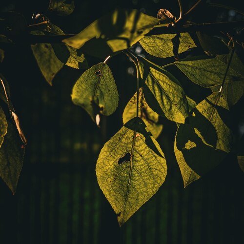 Photo #14090850