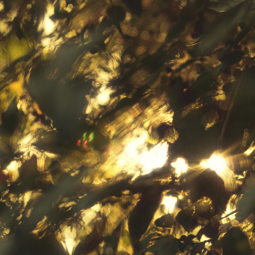 Photo #14090872