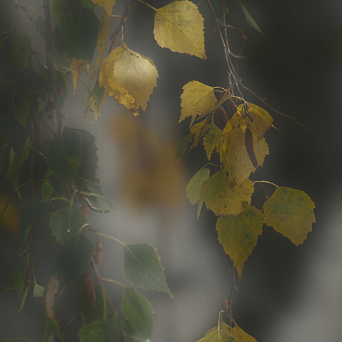 Photo #14090873