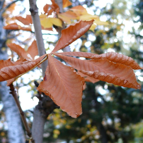 Photo #14090943