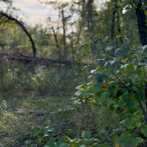 Photo #14090965