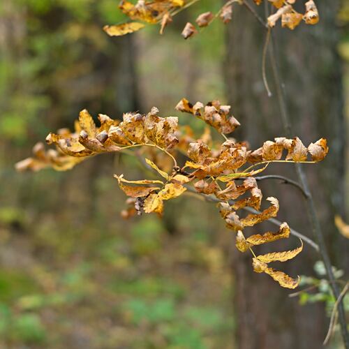 Photo #14090977