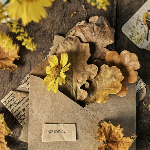 Photo #14090988