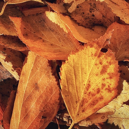 Photo #14091003