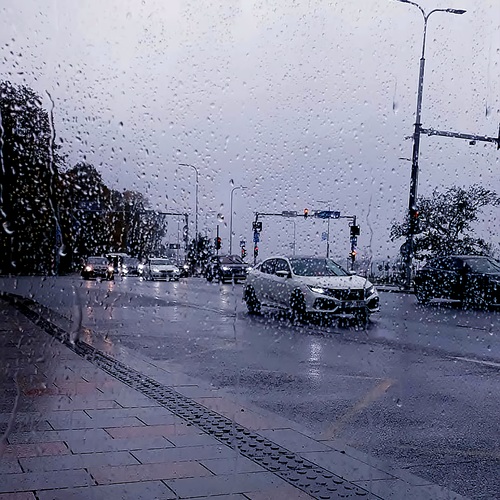 Photo #14091008