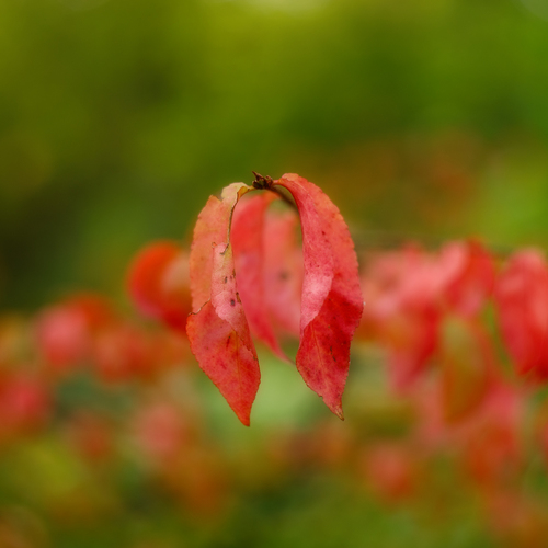 Photo #14091011