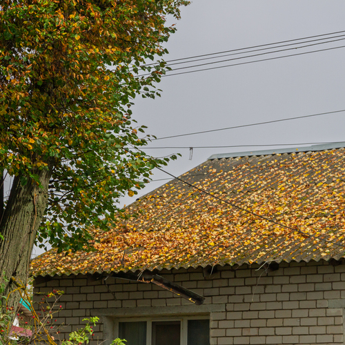 Photo #14091122