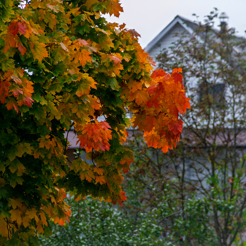 Photo #14091129