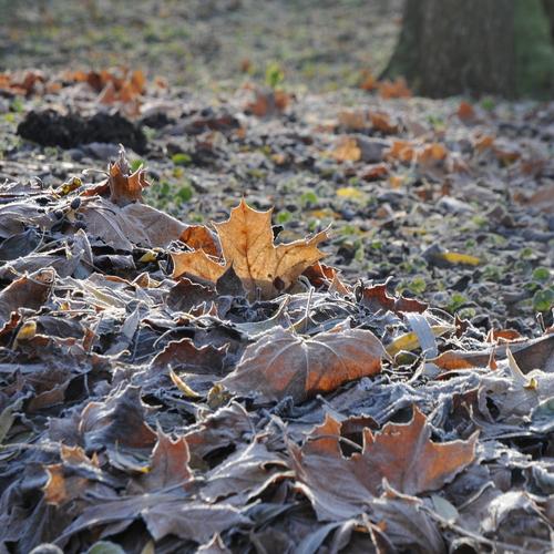 Photo #14091130