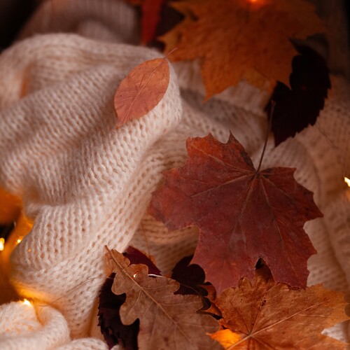 Photo #14091170
