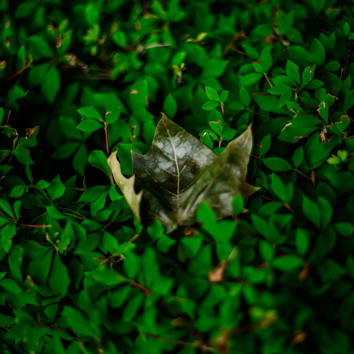 Photo #14091178