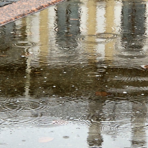 Photo #14091234