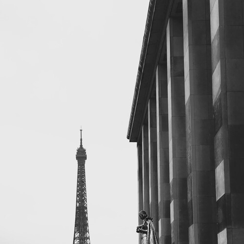 Photo #14091246