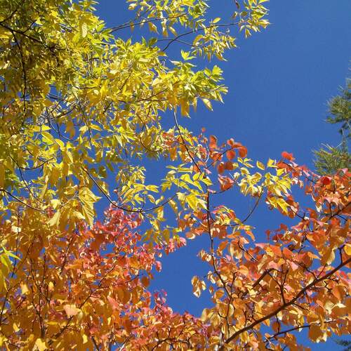 Photo #14091262