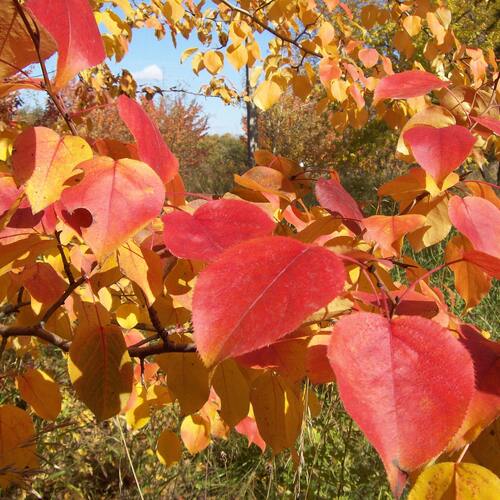 Photo #14091263