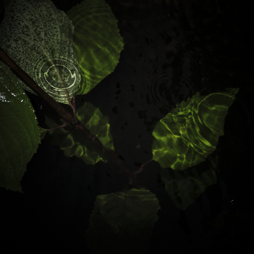 Photo #14091321