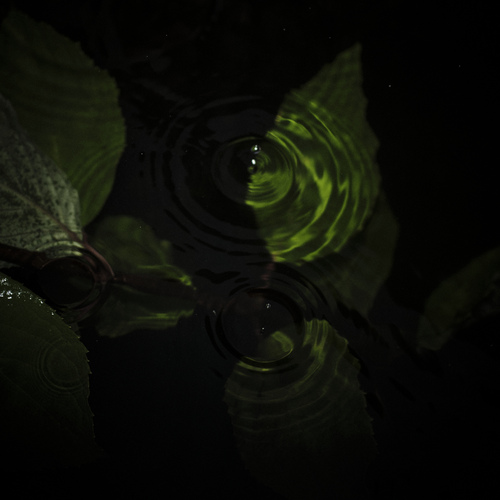 Photo #14091322