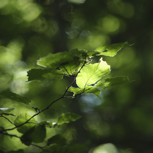 Photo #14091326