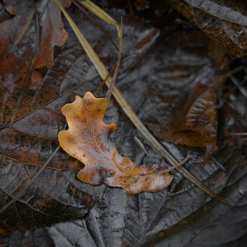 Photo #14091366