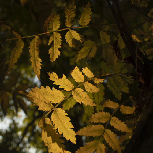 Photo #14091403