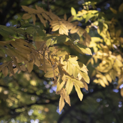 Photo #14091446