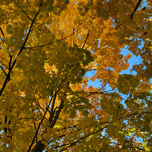 Photo #14091458