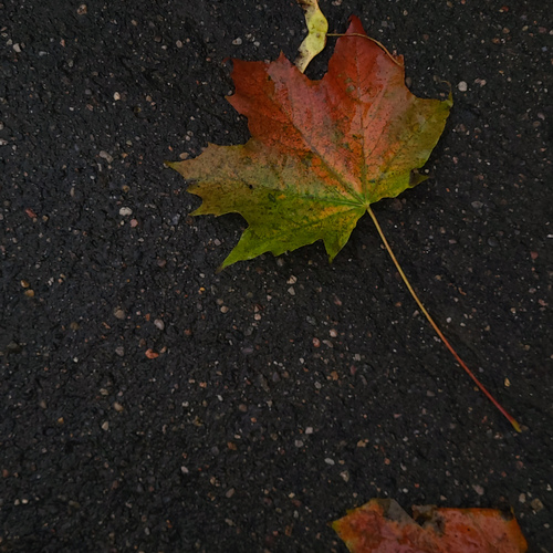 Photo #14091462